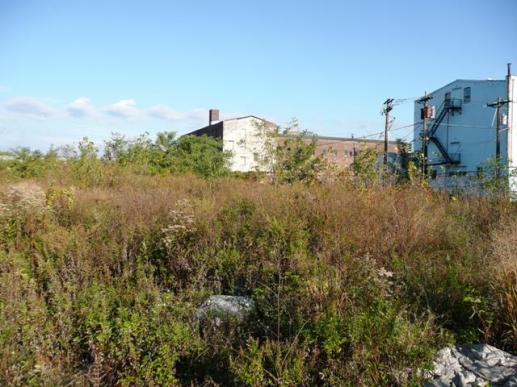 12998746_1682807251937100_4586104731150971868_n