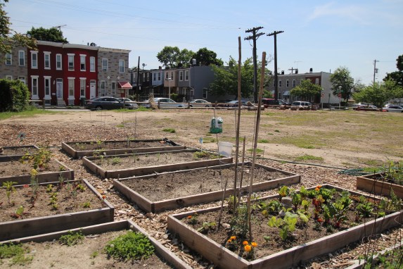 the Remington Neighborhood Park.jpg